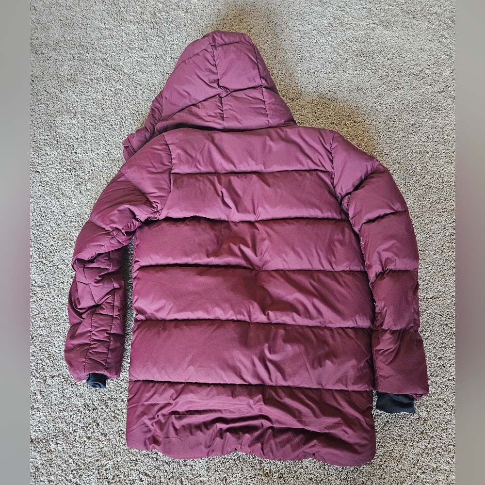 Outdoor Research Women's Coze 700 Puffer Jacket with Hood - Picture 8 of 9